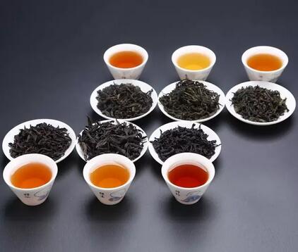 茶葉未來發展，名茶PK民茶